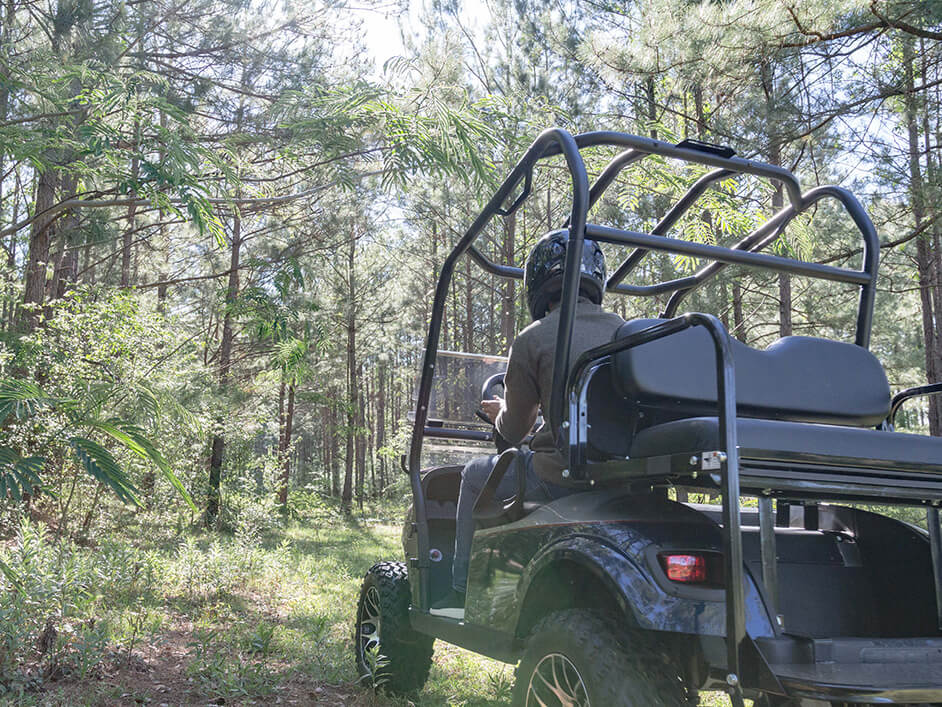 golf cart in the woods